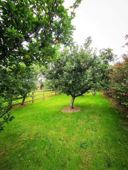 Orchard Cottage Dingle Luaran gambar